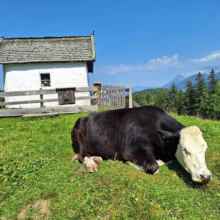 Appartement Lahnerhorn