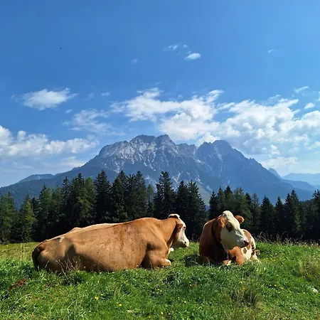 Lahnerhorn Appartement